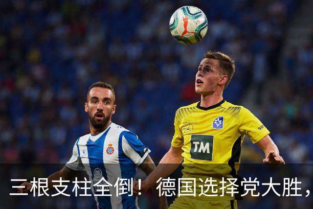 三根支柱全倒！德国选择党大胜，不是右翼崛起，是欧洲建制派塌方