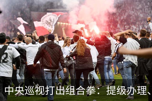 中央巡视打出组合拳：提级办理、深挖保护伞，查到线索再也瞒不住