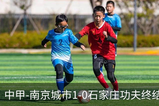 中甲-南京城市1-0石家庄功夫终结13轮不胜 泽·维托尔制胜
