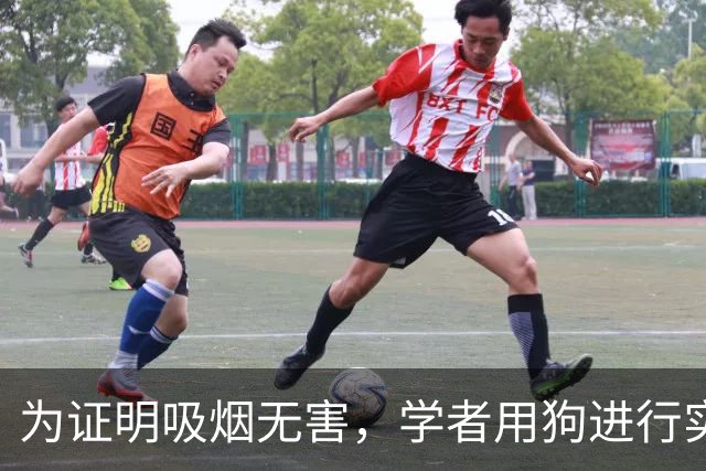 为证明吸烟无害，学者用狗进行实验，每天吸100支香烟，结果究竟如何？