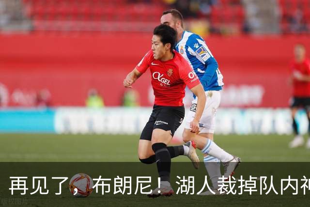 再见了，布朗尼！湖人裁掉队内神射克内克特