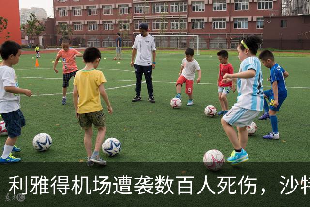利雅得机场遭袭数百人死伤，沙特主导联军：坚决回应