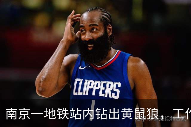 南京一地铁站内钻出黄鼠狼，工作人员：跑得太快，没抓到，已加固地漏
