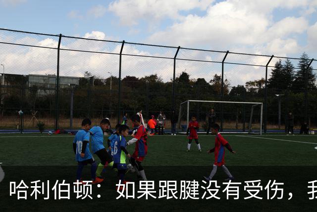 哈利伯顿：如果跟腱没有受伤，我认为我们可以在抢七大战中击败雷霆
