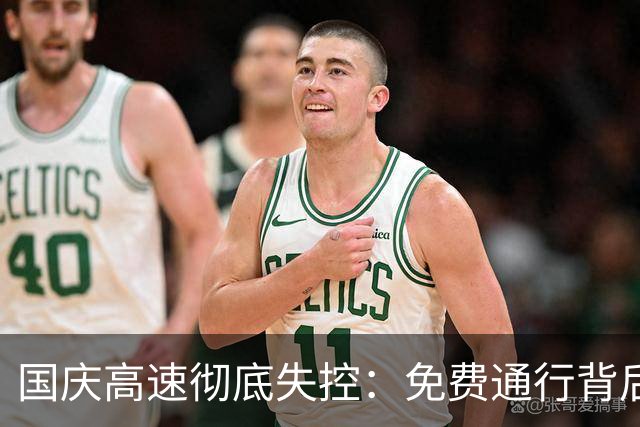 国庆高速彻底失控：免费通行背后，是所有人的集体渡劫