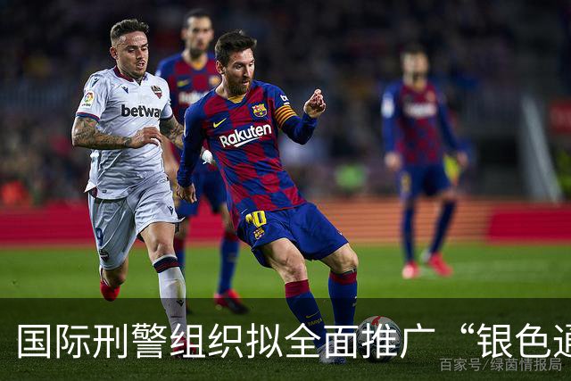 国际刑警组织拟全面推广“银色通缉令”，全球追查现金、加密货币、车辆、房地产及其他犯罪分子藏匿的非法财富