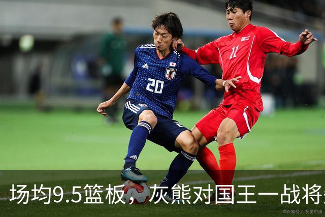 场均9.5篮板，灰熊对国王一战将失去他