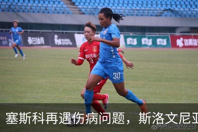 塞斯科再遇伤病问题，斯洛文尼亚主帅称需时间恢复