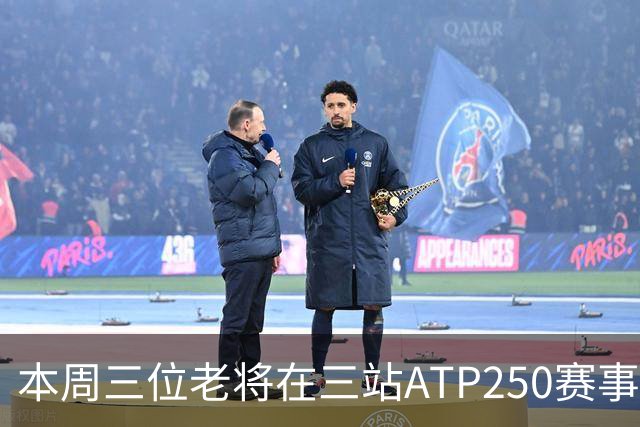 本周三位老将在三站ATP250赛事走完网球征途
