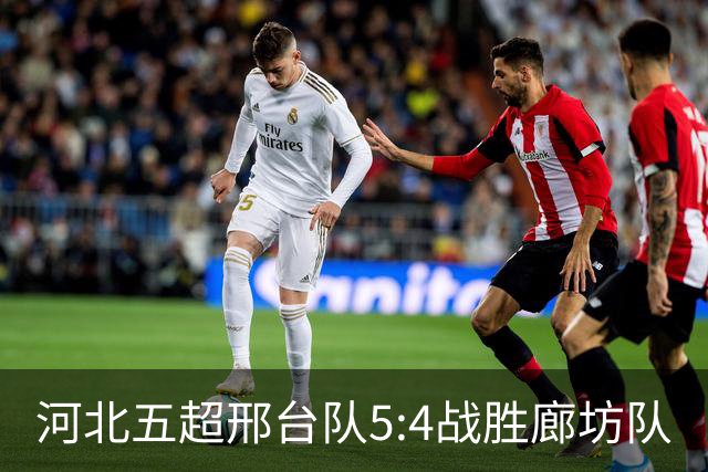 河北五超邢台队5:4战胜廊坊队