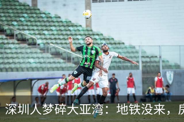 深圳人梦碎大亚湾：地铁没来，房价腰斩