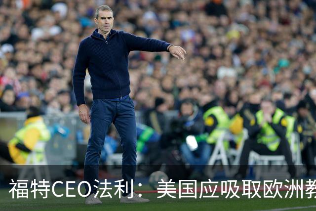 福特CEO法利：美国应吸取欧洲教训，审慎对待中国车企入美