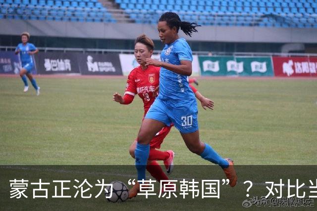 蒙古正沦为“草原韩国”？对比当年的禁韩令，中国这步棋太稳了！