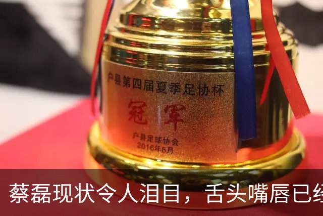 蔡磊现状令人泪目，舌头嘴唇已经萎缩，洗澡用绳子吊，妻子很绝望