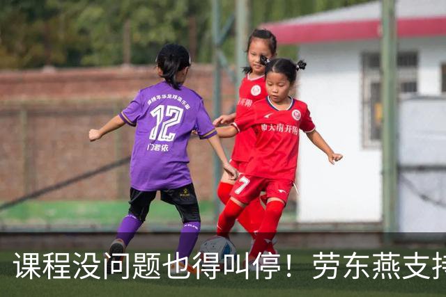 课程没问题也得叫停！劳东燕支持裴轶，何不谈谈“低人一等”