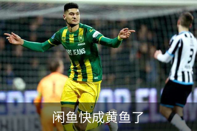 闲鱼快成黄鱼了