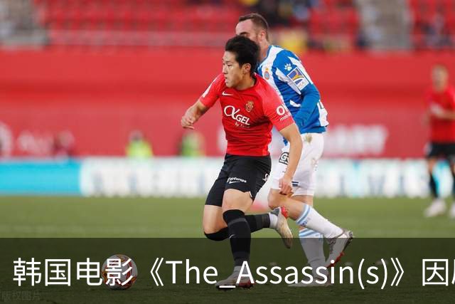 韩国电影《The Assassin(s)》因剧情争议引发舆论对立