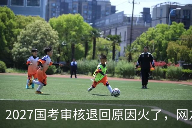 2027国考审核退回原因火了，网友看了哭笑不得，审核员也很无奈！