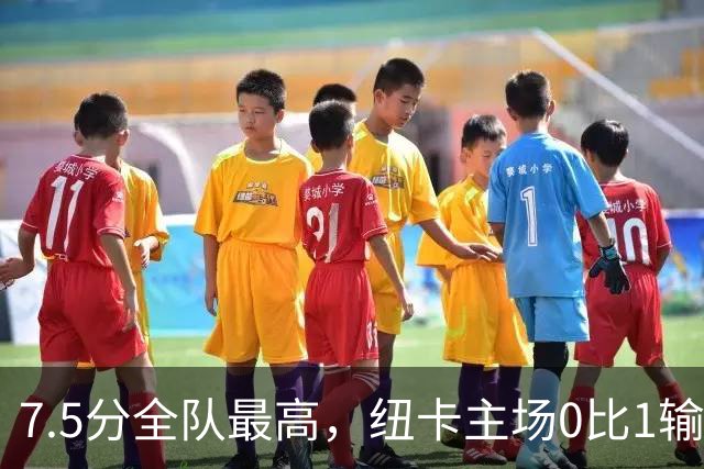 7.5分全队最高，纽卡主场0比1输球他却是唯一亮点